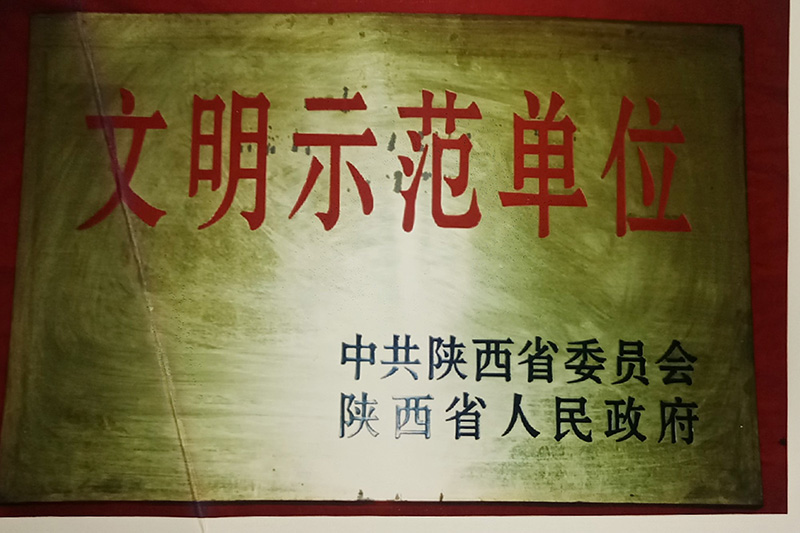 10、省級-陜西省文明示范單位.jpg